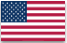 View this page in English American flag